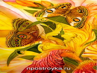 Фотопечать бабочки Фото 75
