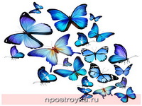 Фотопечать бабочки Фото 10