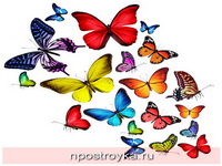 Фотопечать бабочки Фото 72