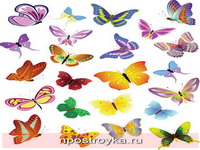 Фотопечать бабочки Фото 120