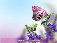 Фотопечать бабочки Фото 119
