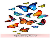 Фотопечать бабочки Фото 10