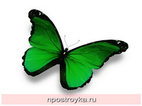 Фотопечать бабочки Фото 136