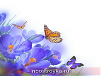 Фотопечать бабочки Фото 105