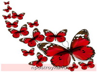 Фотопечать бабочки Фото 103