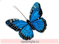 Фотопечать бабочки Фото 104