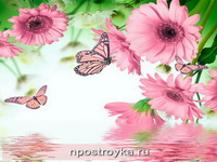 Фотопечать бабочки Фото 20