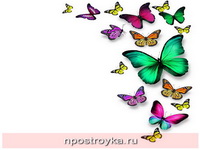 Фотопечать бабочки Фото 50