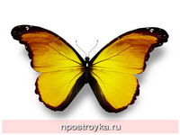 Фотопечать бабочки Фото 146