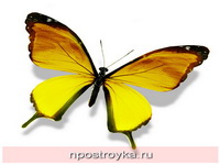 Фотопечать бабочки Фото 70