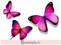 Фотопечать бабочки Фото 22