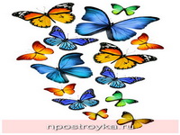 Фотопечать бабочки Фото 124