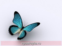 Фотопечать бабочки Фото 137