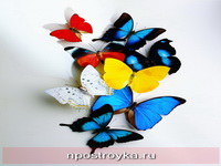 Фотопечать бабочки Фото 65