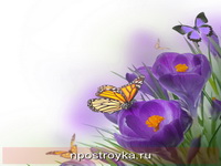 Фотопечать бабочки Фото 83
