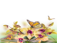 Фотопечать бабочки Фото 123