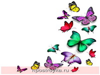 Фотопечать бабочки Фото 139
