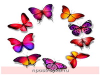 Фотопечать бабочки Фото 110