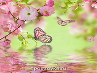 Фотопечать бабочки Фото 116
