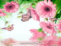 Фотопечать бабочки Фото 1