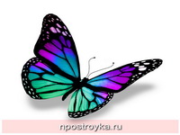 Фотопечать бабочки Фото 71