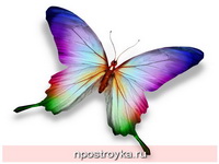 Фотопечать бабочки Фото 135