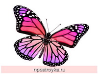 Фотопечать бабочки Фото 62