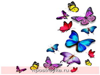 Фотопечать бабочки Фото 48
