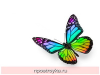 Фотопечать бабочки Фото 109