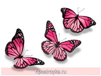 Фотопечать бабочки Фото 81