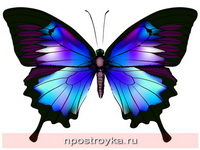 Фотопечать бабочки Фото 51