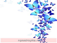 Фотопечать бабочки Фото 36