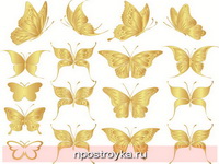 Фотопечать бабочки Фото 142