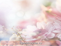 Фотопечать цветы Фото 184