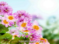 Фотопечать цветы Фото 119