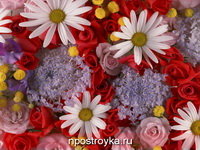 Фотопечать цветы Фото 39